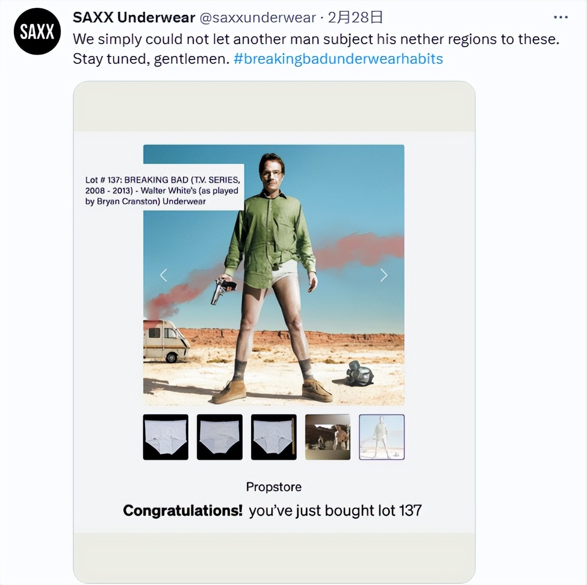 绝命毒师拍卖主角,绝命毒师主角被绿了么