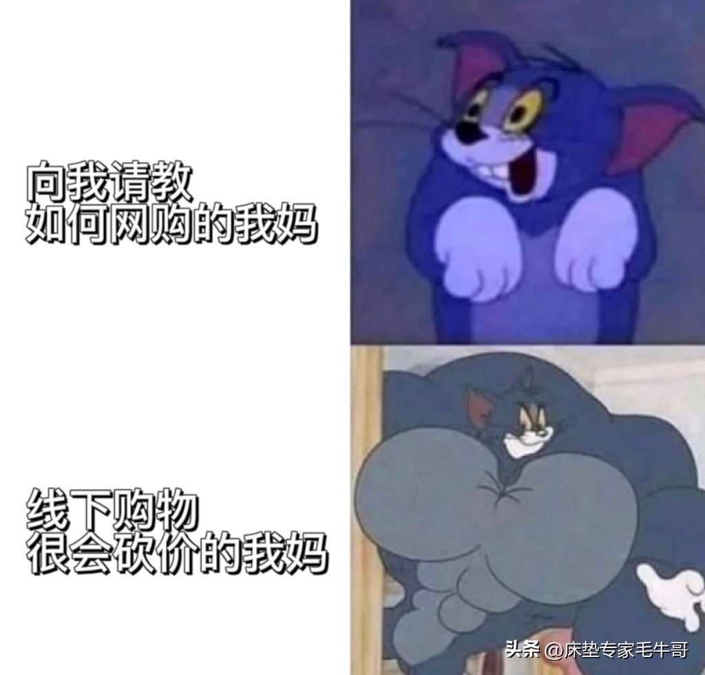 丝涟床垫推荐性价比款,丝涟床垫十大排名