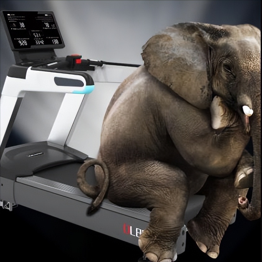 小乔跑步机和小金跑步机对比,益步跑步机是几线品牌跑步机