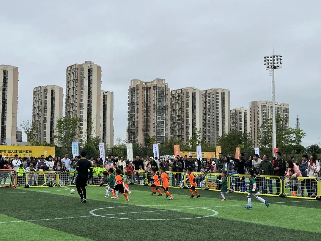 派迪茵体育有限公司,派迪茵体育股份有限公司