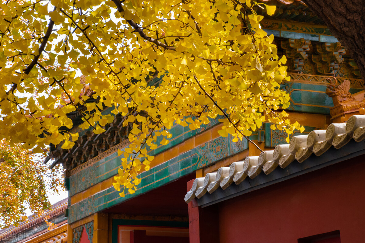 12.6-12.12塔罗运势完整版,2022.1.10星座运势