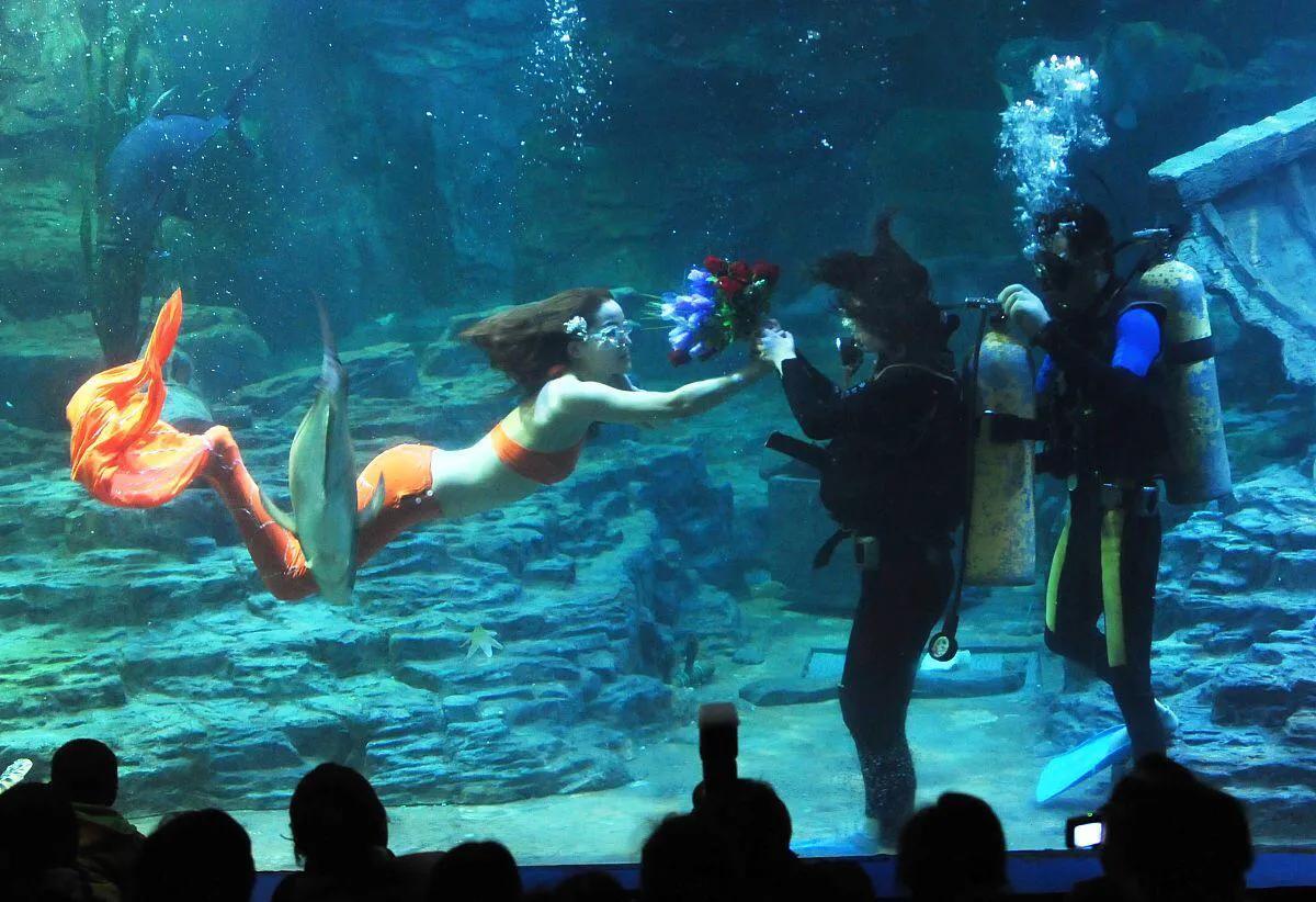 游客三亚潜水被强制拍照,三亚潜水游客遭强行推销求线索