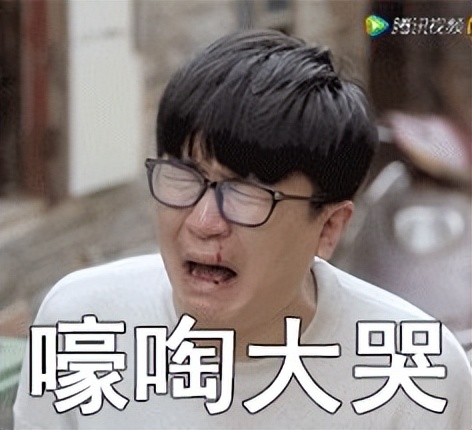 2023，你还飞得动吗？太平鸟