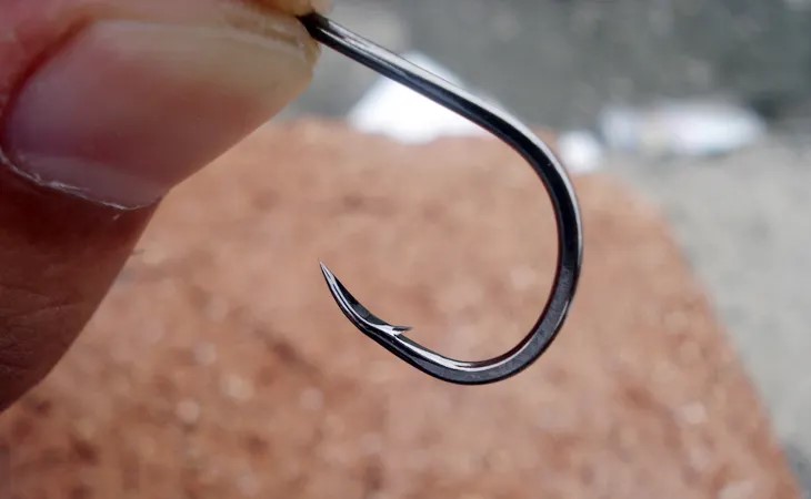 钓鲤鱼最好的关东鱼钩,钓鲫鱼又能钓鲤鱼的鱼钩是哪一种