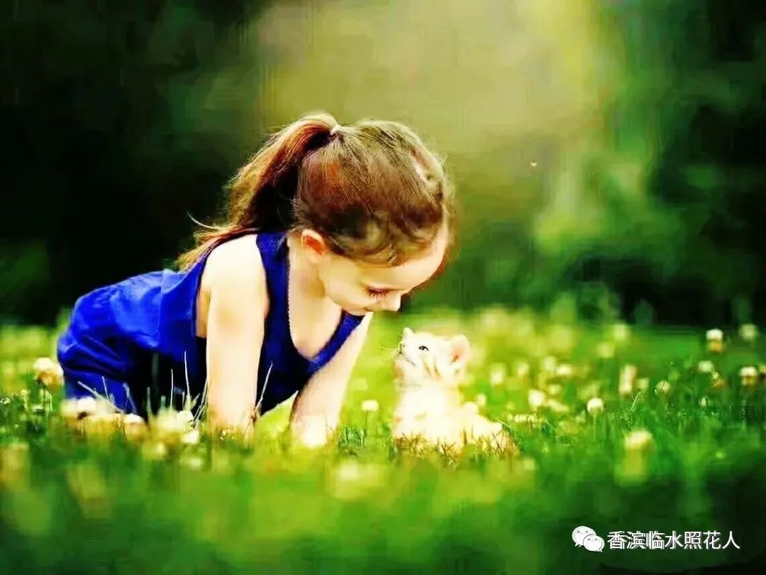 「思维导图“画”作文」明熙皓《可爱的小兔子——盲盒》（十四）