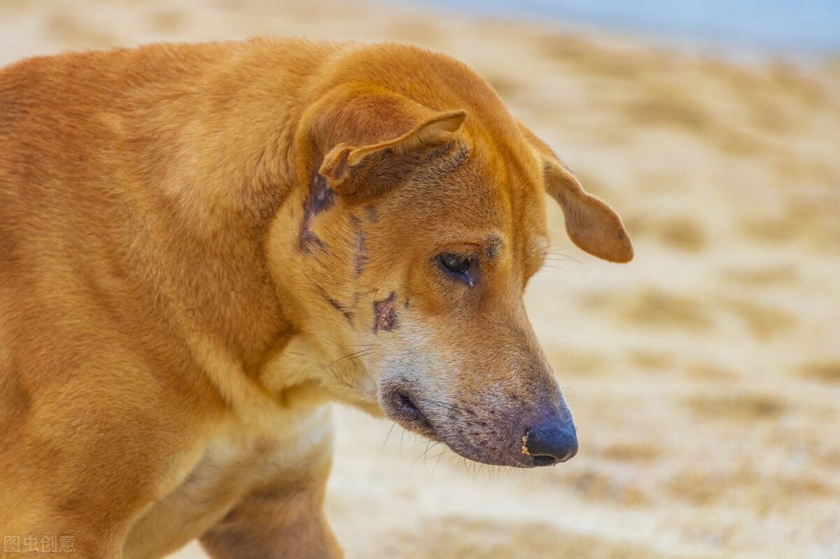 如果你结婚了请给我请柬当时我没及格我想看看你的标准答案