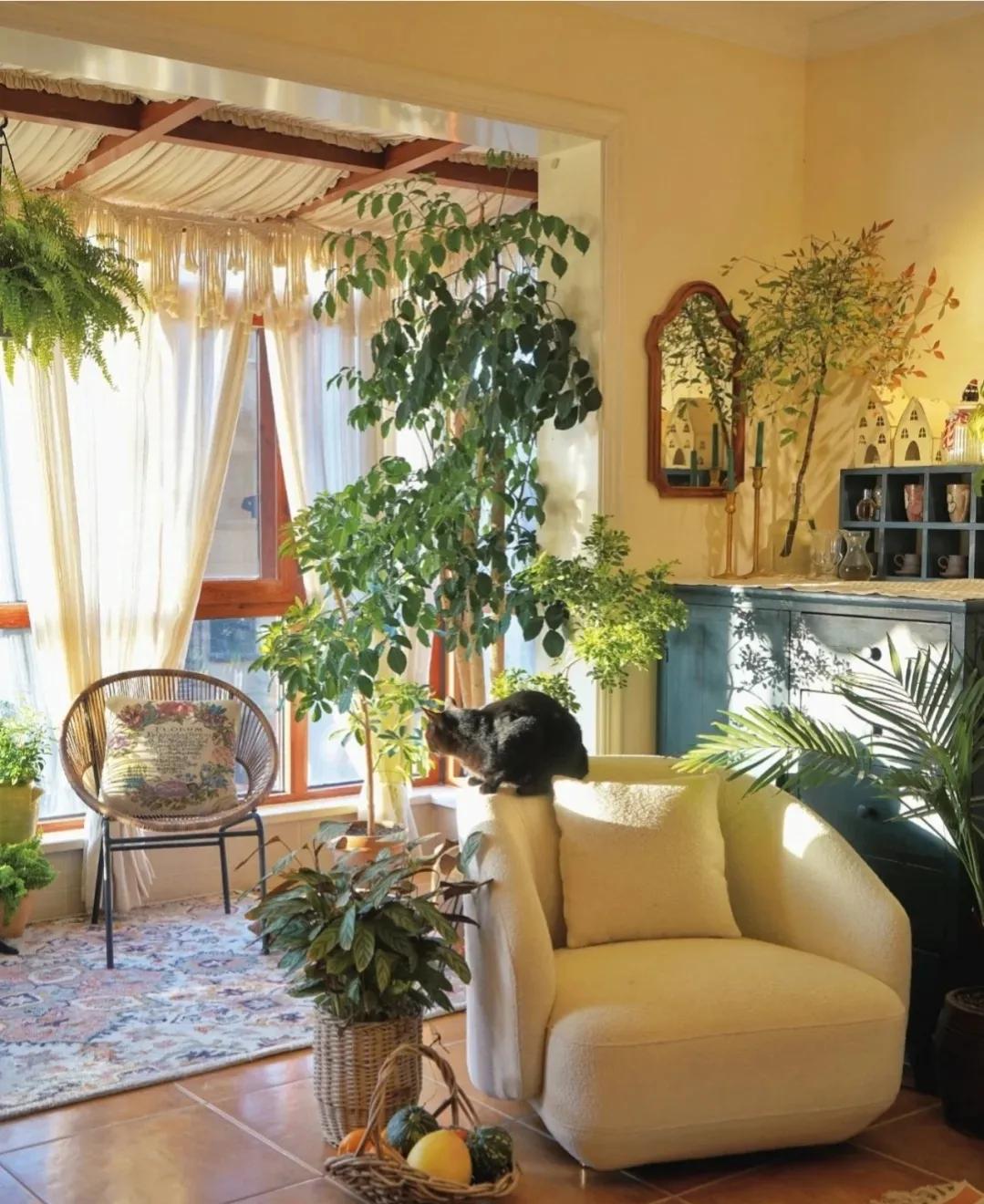 客厅外种树讲究风水吗,家里客厅窗户外适合种树吗