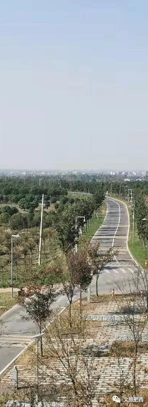 原来，在社交平台中，肥西的真实风景是这样的