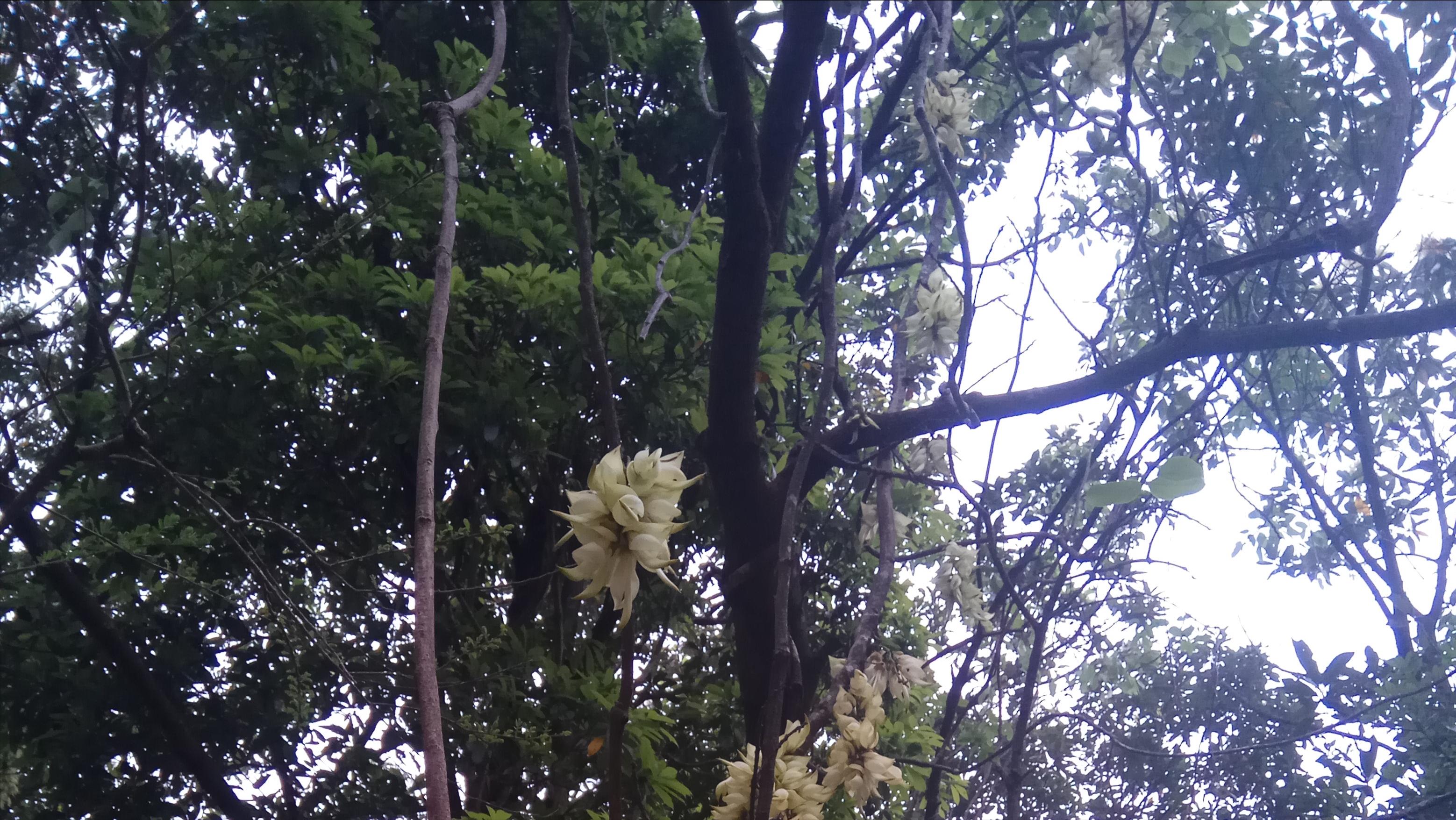 成功特质顶尖人士的51种品质,真正成功的人都有一个共同特质