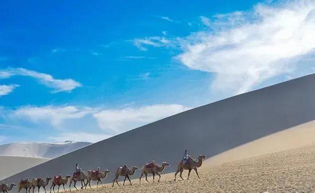 坚持的魅力所在,坚持的魅力很独特