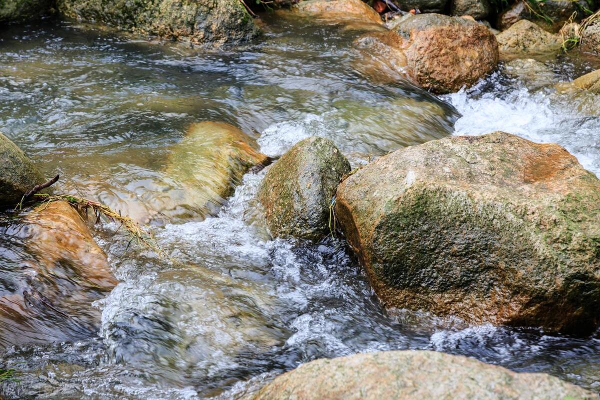 广州摘荔枝一日游最佳路线,从化自驾游荔枝采摘园