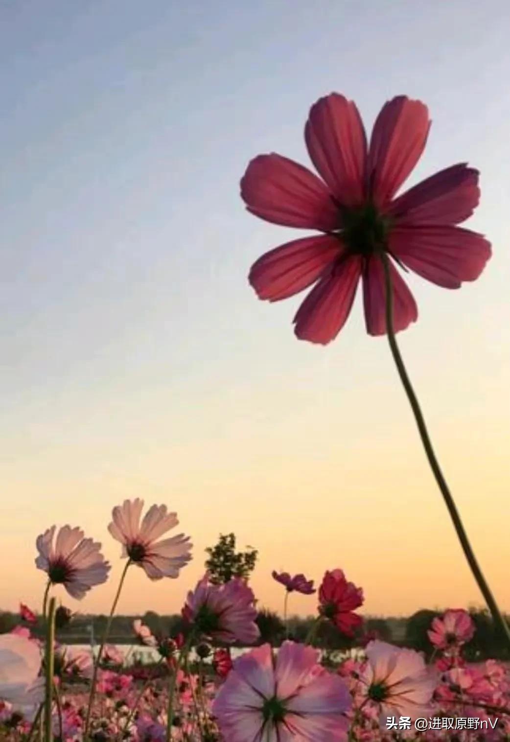 鎰熸偀浜虹敓鍗佹偀,浜虹敓鍗佹偀鎰熻Е棰囨繁