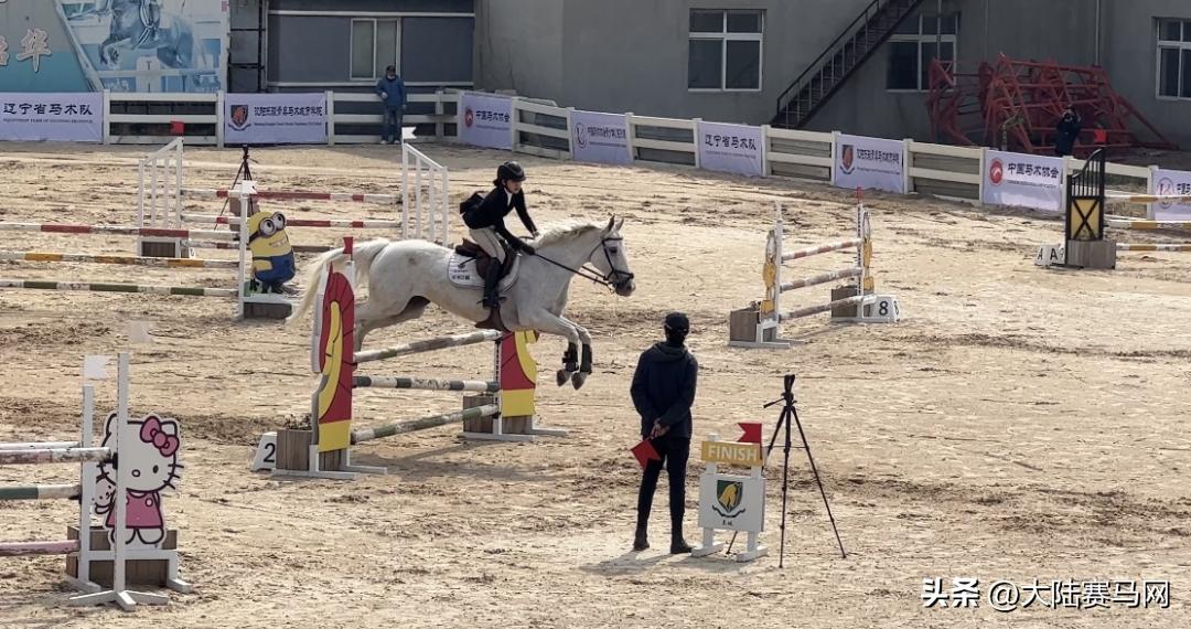 东骏青奥霸气斩获大满贯！2023中马协U系列赛（沈阳站）圆满落幕