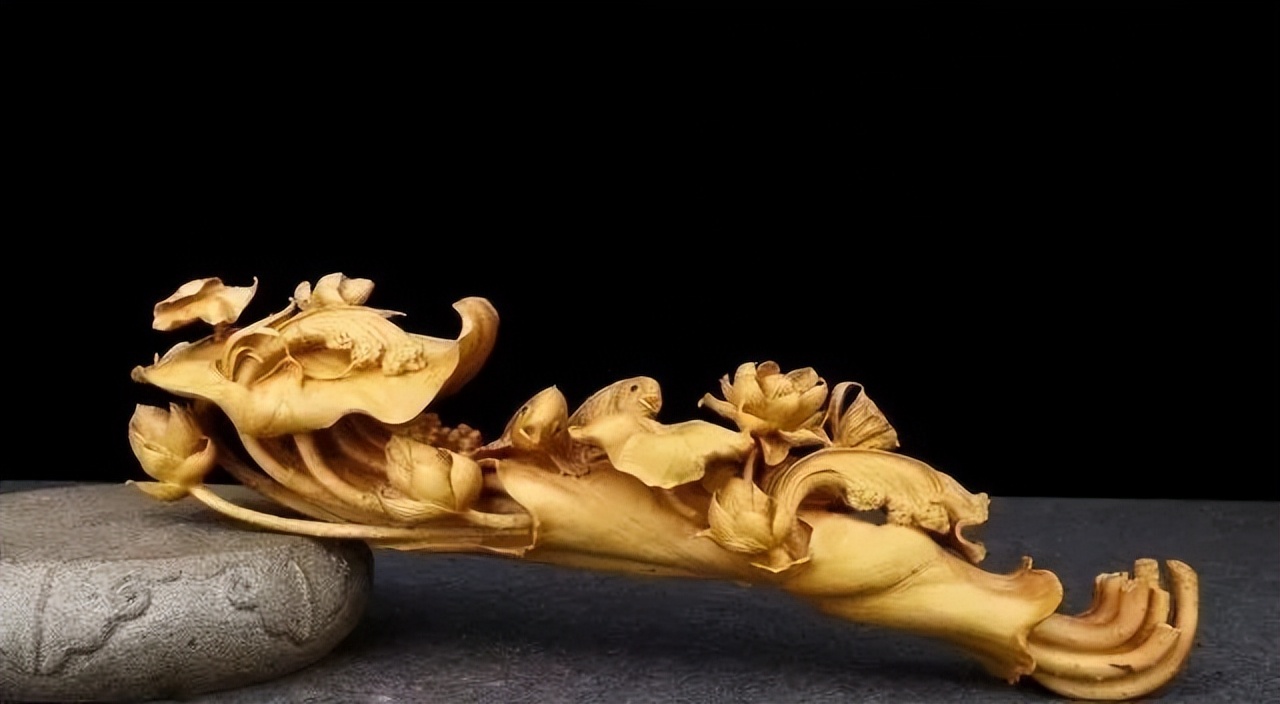 最好看的黄杨木,十种最好看的黄杨木