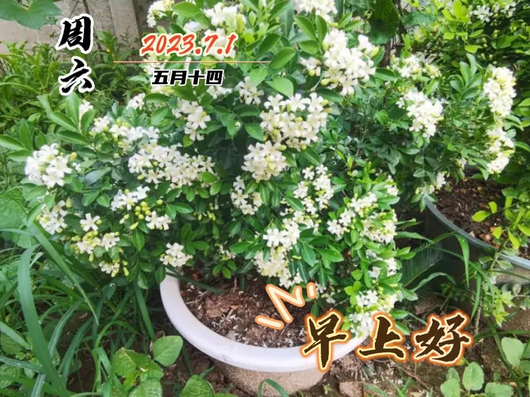 早安图片早上好问候祝福语,早上好图片带字早安问候语大全