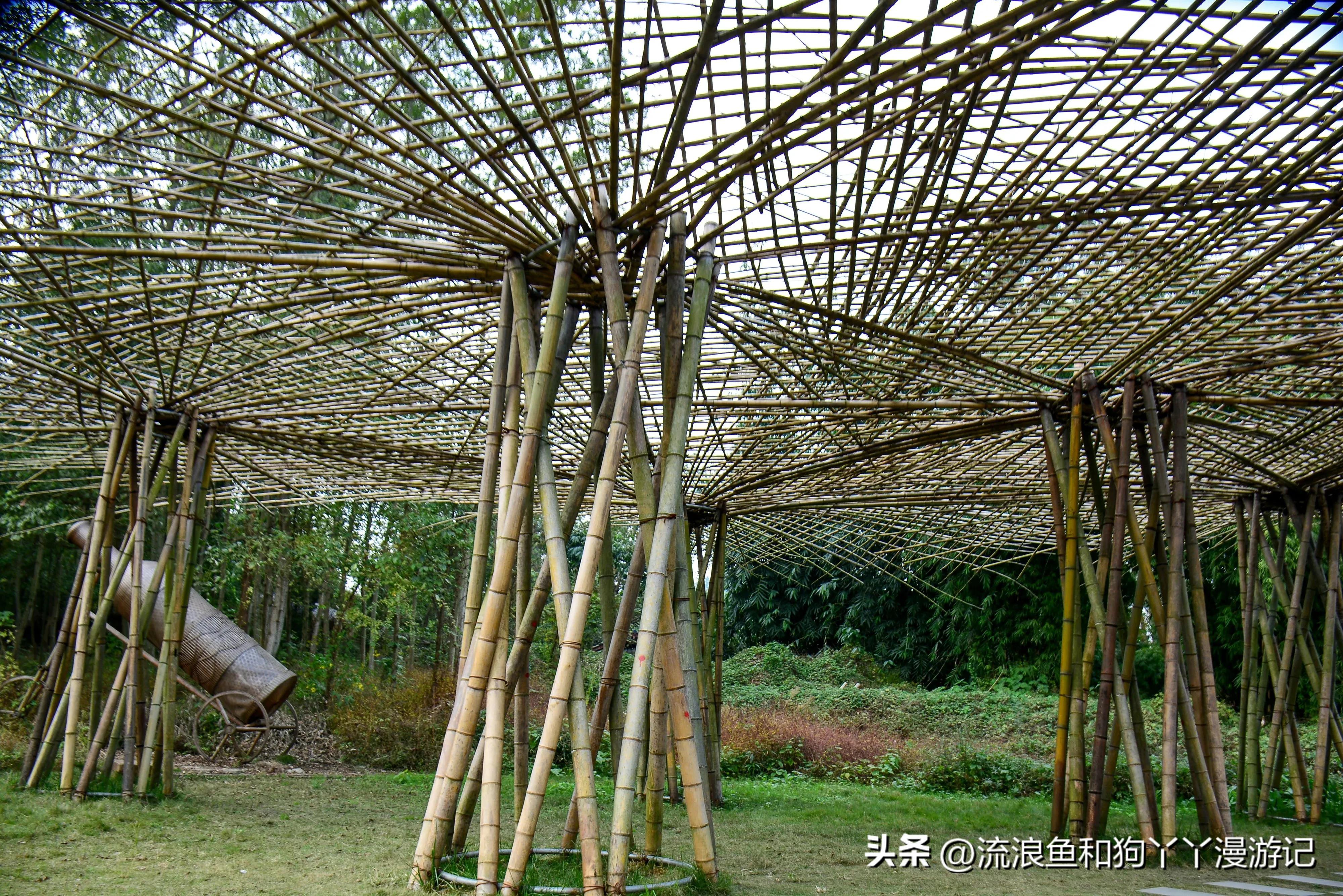 四月份成都近郊一日游好去处,2022成都近郊看雪一日游最佳去处