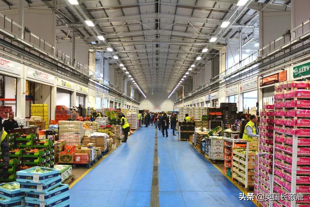 在伦敦哪里买新鲜的海鲜,伦敦海鲜市场买什么海鲜