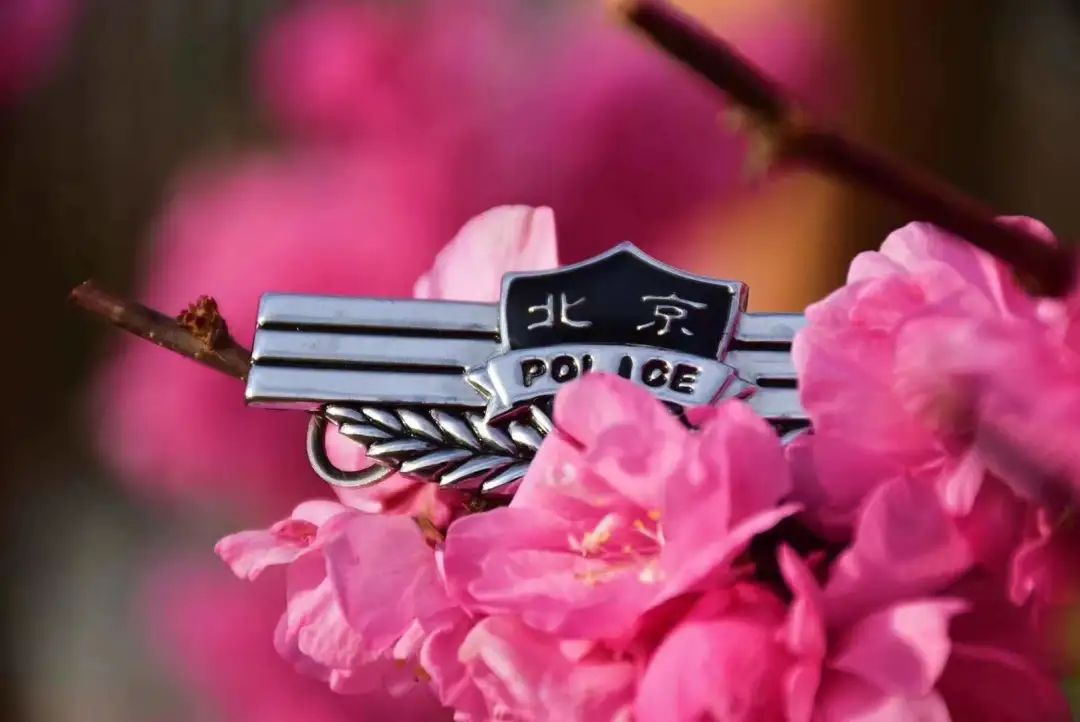 警花表白同为民警的新郎,警花燕子电影完整版