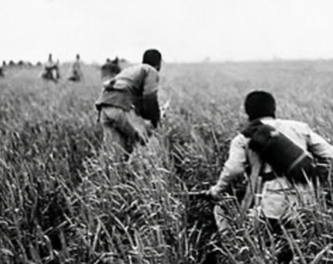 89年,渑池县“烈士”时隔41年归来,众人纷纷围观:真是福大命大