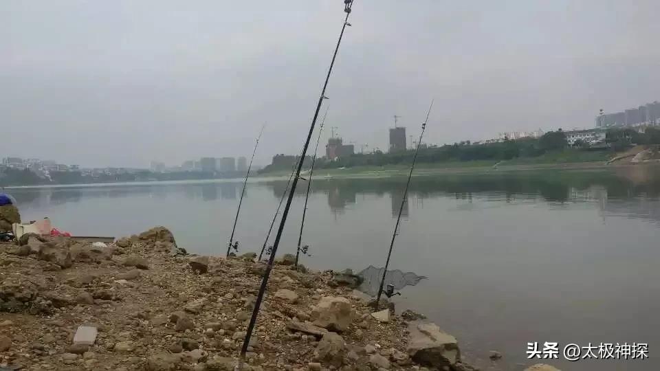 我理想的退休生活,退休后最理想的生活是什么