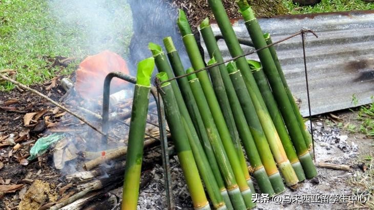 椰浆饭叻沙乌达……马来西亚美食哪个你最忘不了？