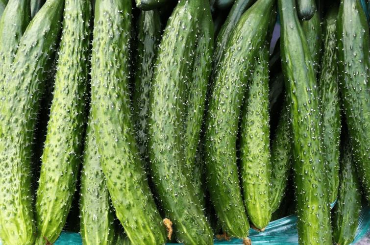 黄瓜不能和什么食物同吃,黄瓜营养功效饮食禁忌