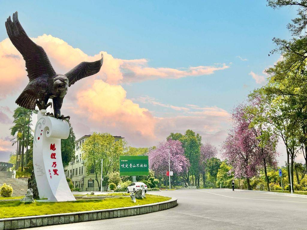 2023年广西预科班报名入口,广西预科班招生学校