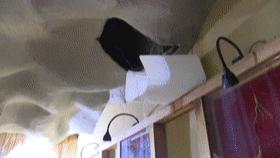 浴池下水管道漏水即修即用,浴池防水漏水怎么解决