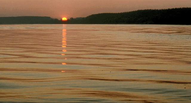 刚解封就被封号,刚解封又被限流一个月