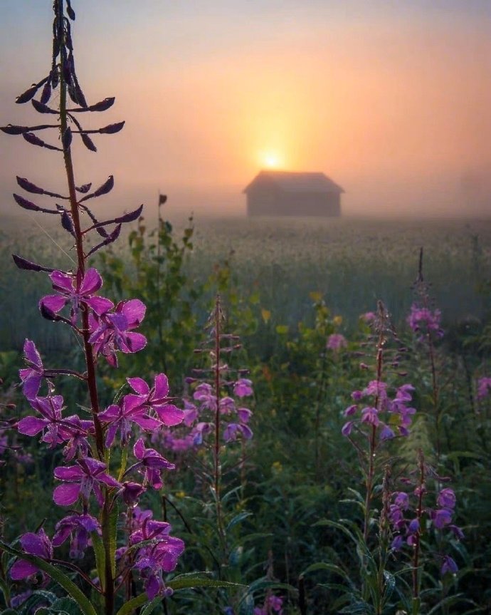 这样回你微信的人真的不在意你,这样回复你微信的人就是瞧不起你
