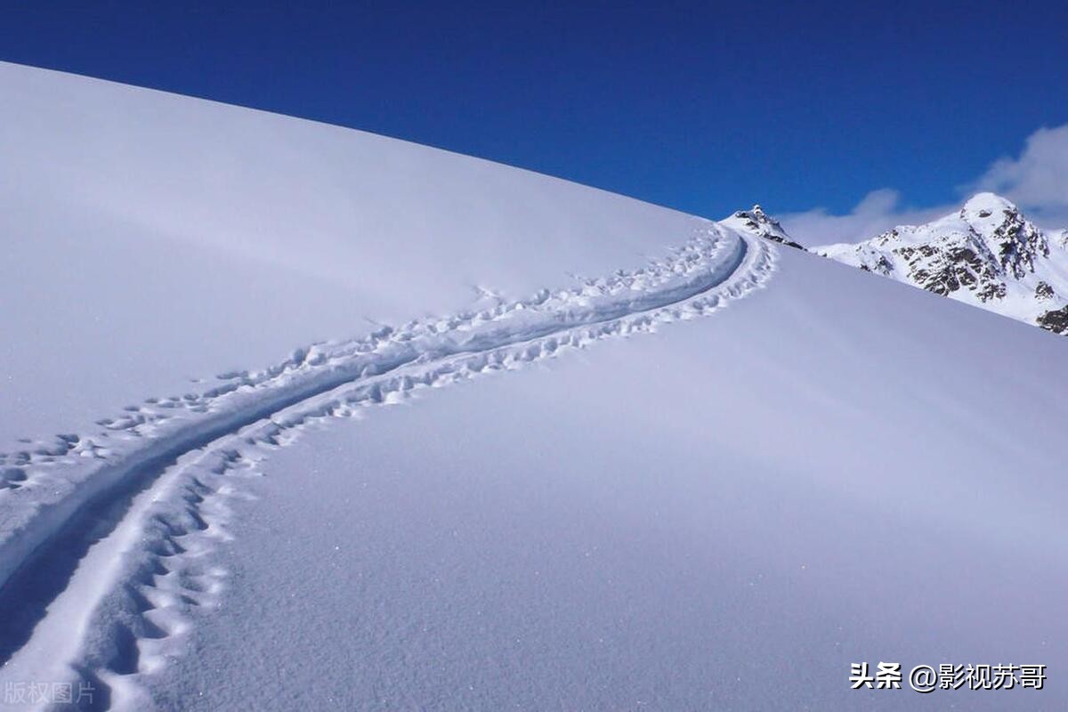 粉雪是日文歌吗,粉雪是英文歌还是日语歌