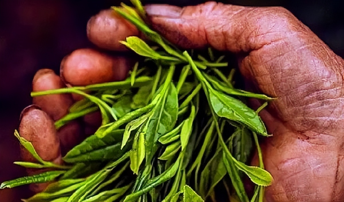 茶叶农残检测国家标准,茶叶抽检出农残超标