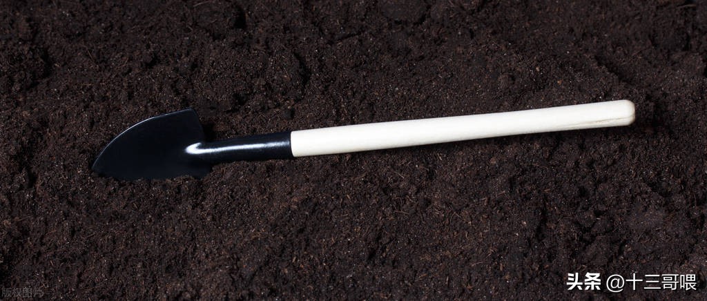 一本正经地胡说八道冷知识,对付丧尸最实用的冷兵器