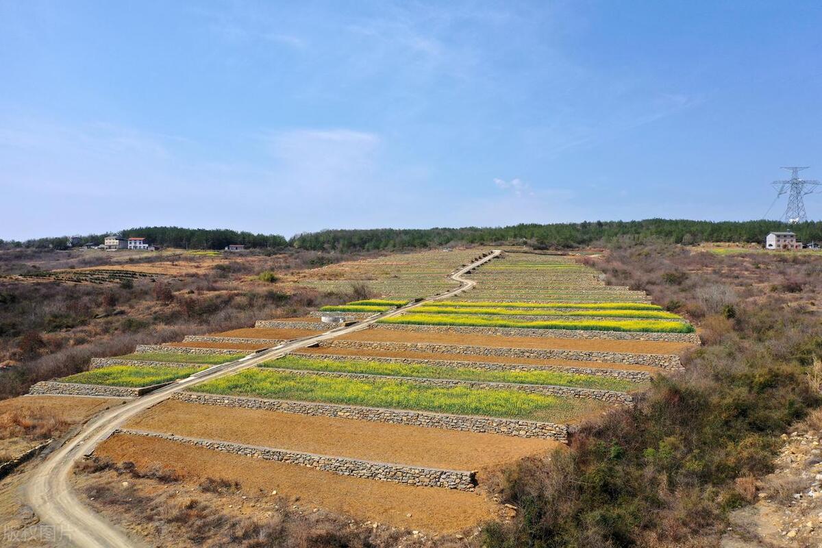 耕地粮食产量,各省耕地面积和粮食产量