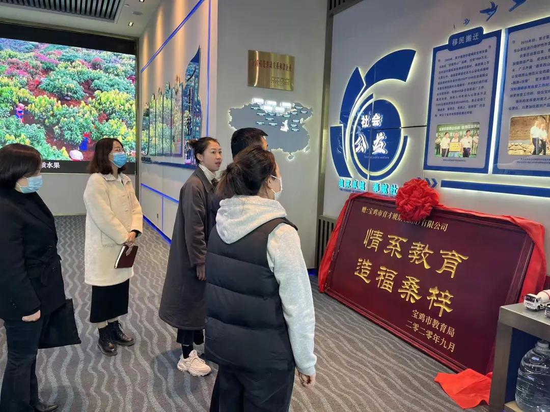 团团工作回顾,团团现在的工作