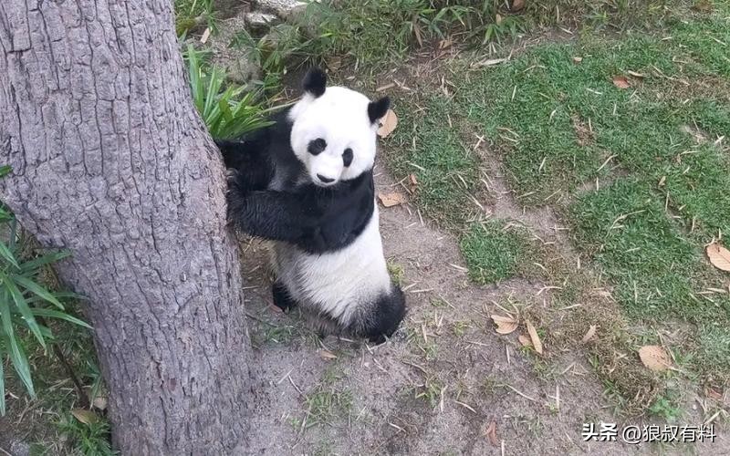 泰国五一,中国游客没来,机场一片冷清,网友:中国赚钱中国花