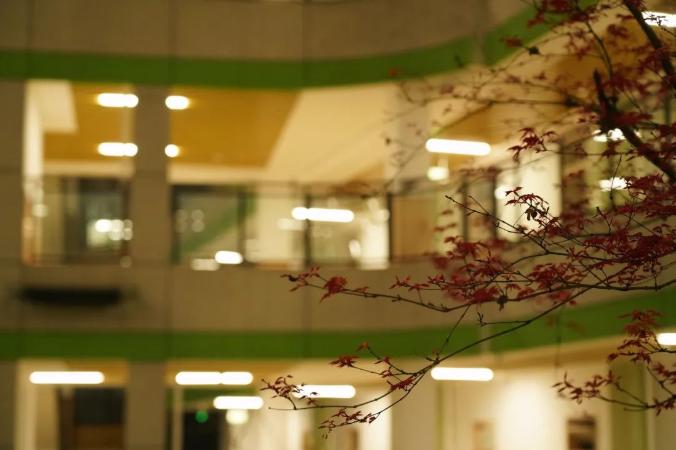 以一日之力，应朝阳之功——记乐山东辰高中部的一天