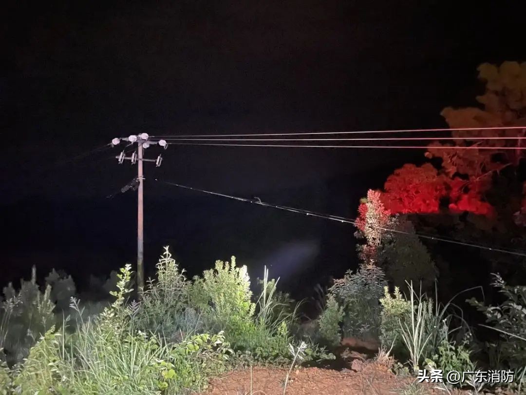 在深山老林捡菌子,夫妻深山捡菌子