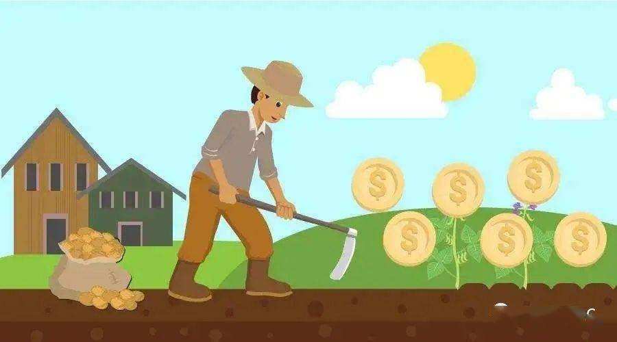 50亩山地种什么经济效益好,山东适合种的水果树种植