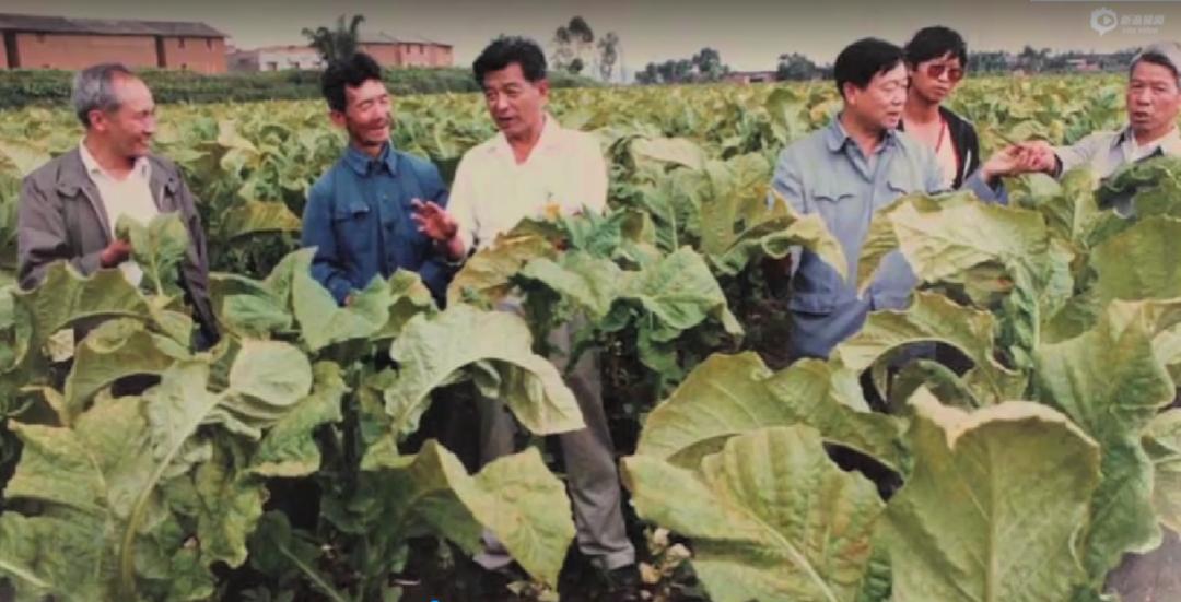 褚时健是怎么被诬陷入狱的,褚时健到底有没有贪污