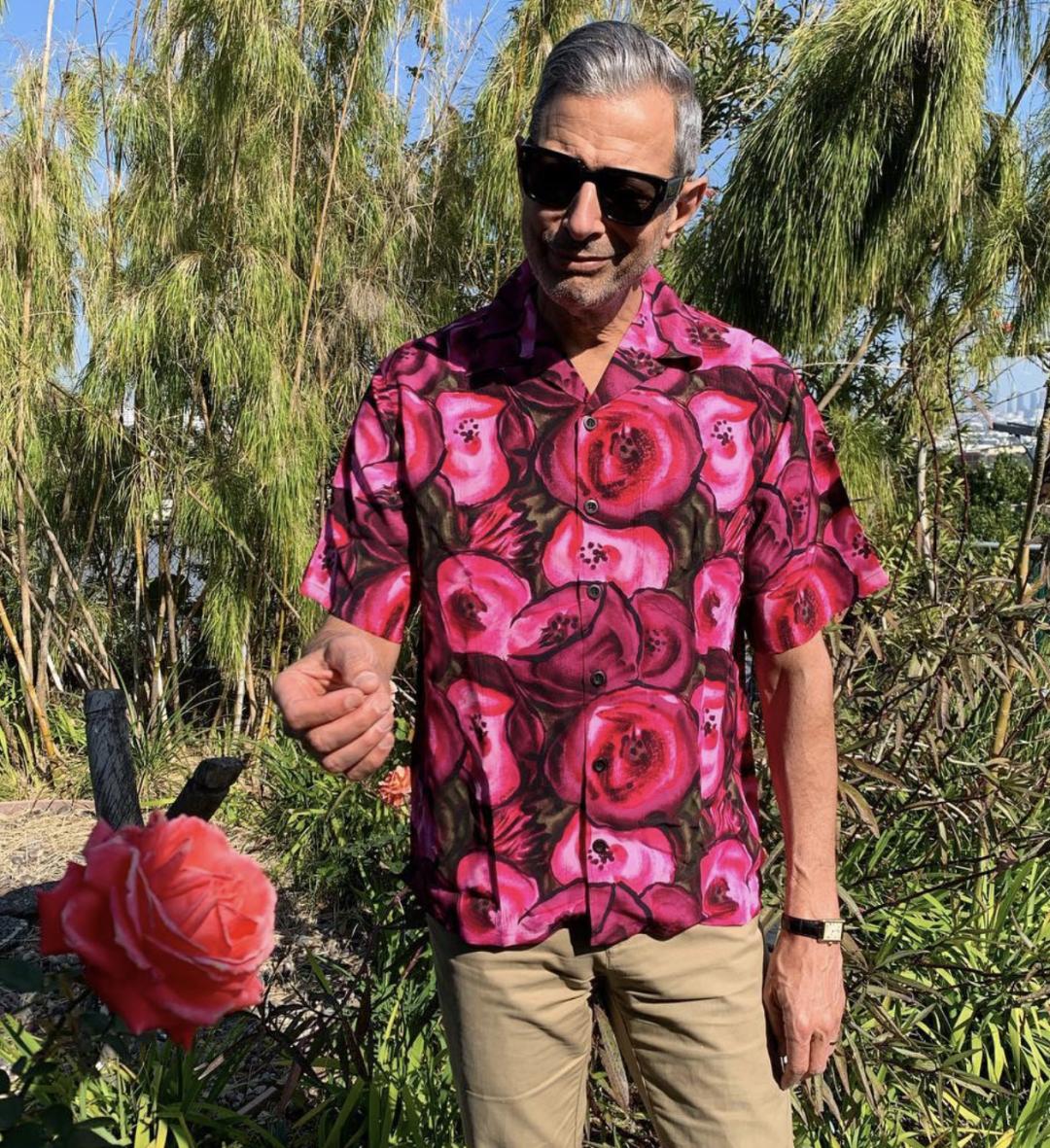 JeffGoldblum—摆脱年龄做最时尚的老头