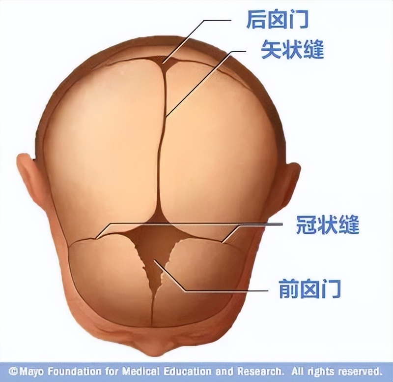 月嫂证有年龄限制吗,月嫂年龄限制到多少岁