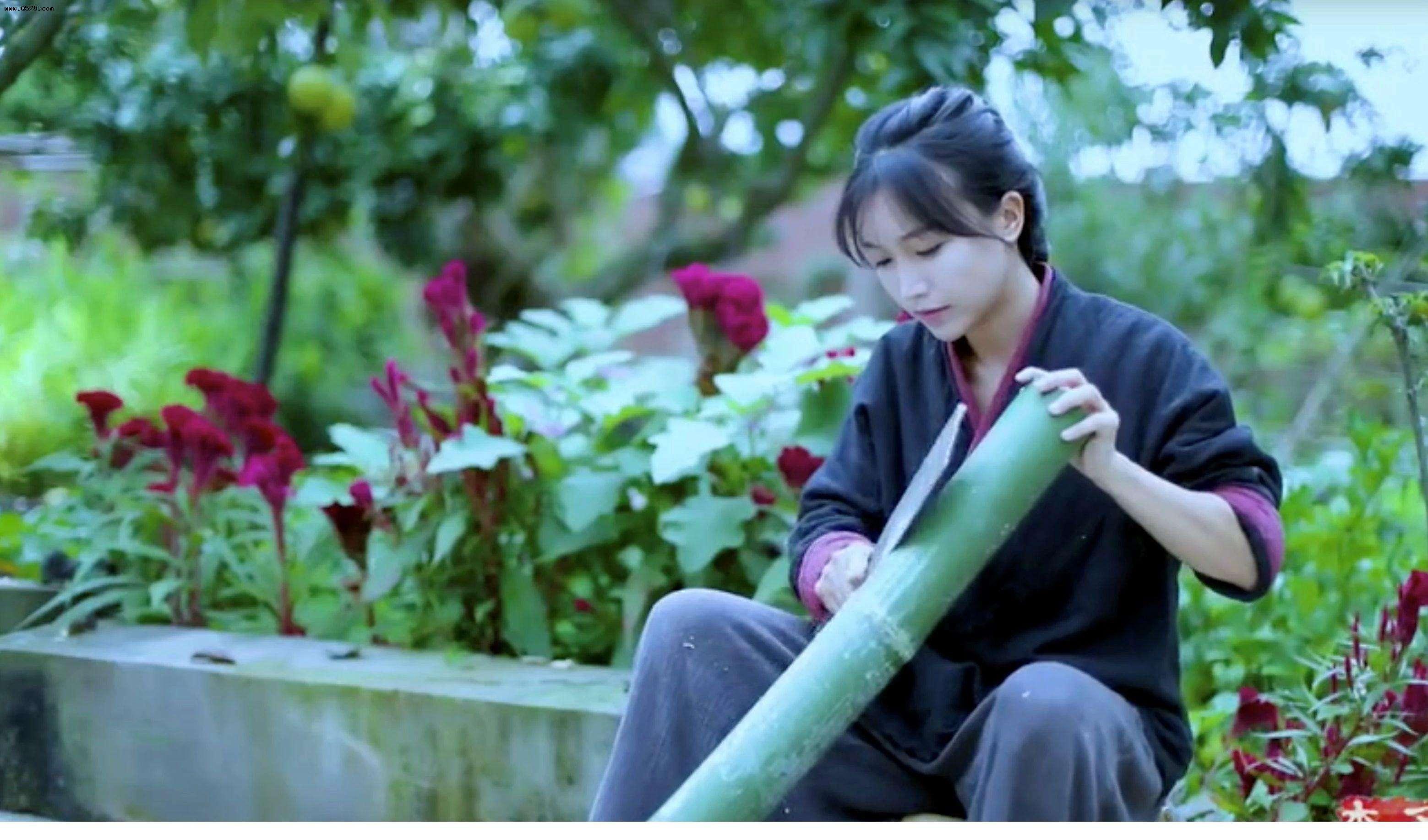 网红圈的妖魔鬼怪,网红圈乌烟瘴气