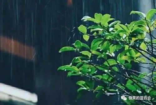 静处心安,与时清欢