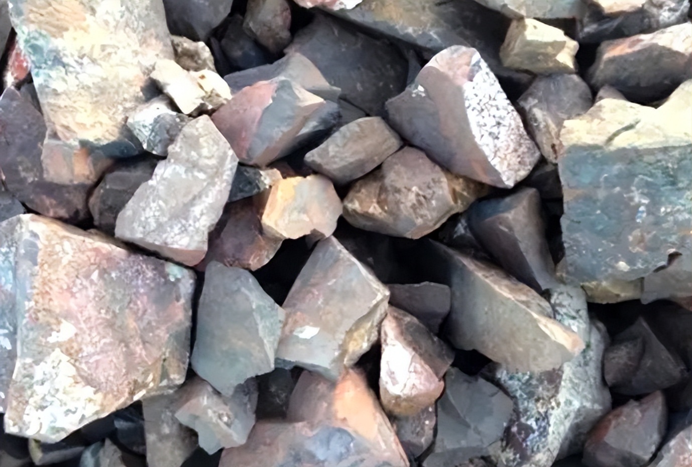 山西矿老板发现养殖商机种植构树,矿老板被骂