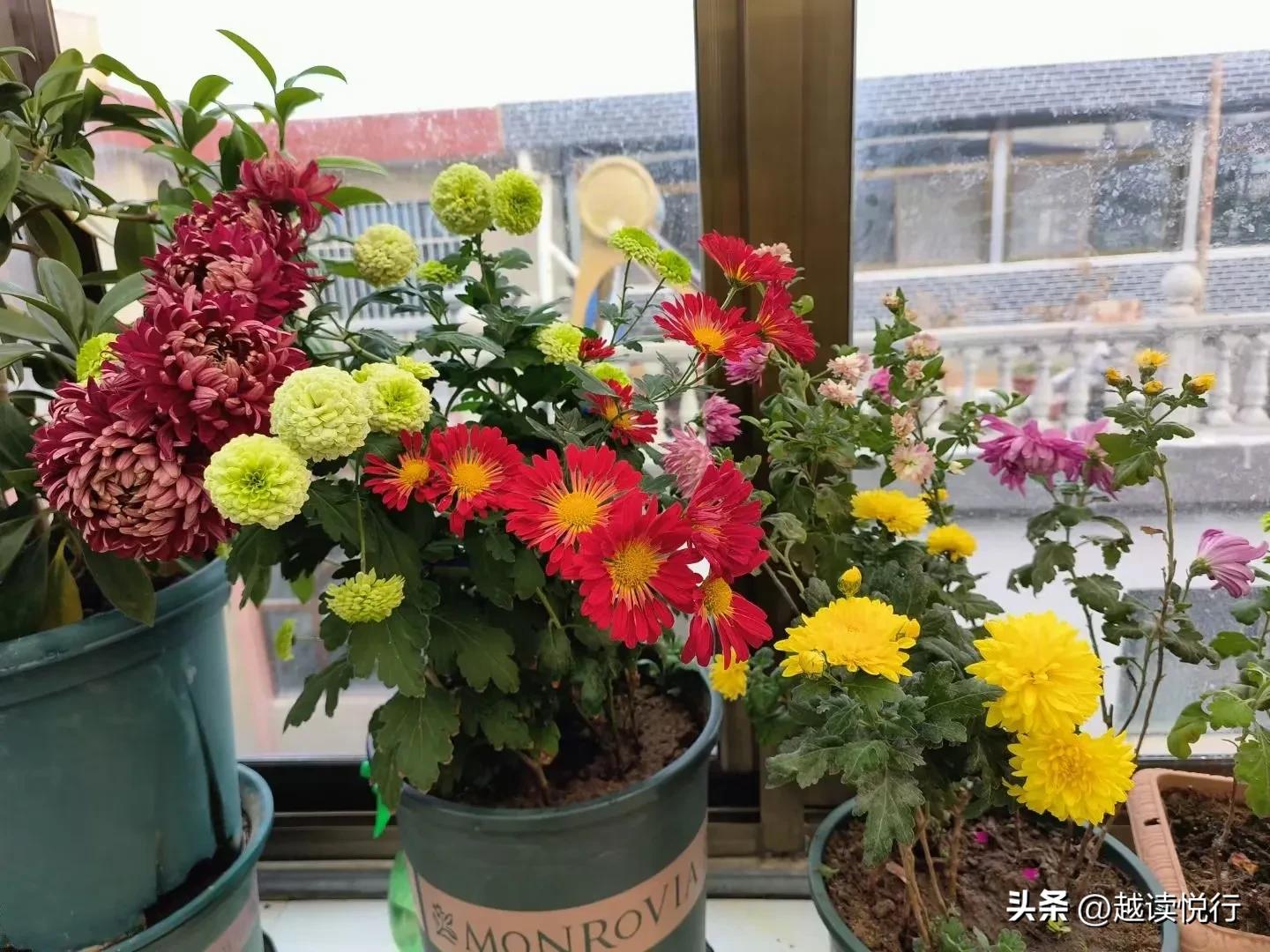 北方春来迟，料峭春寒中，看黄河水暖，白塔山醒！