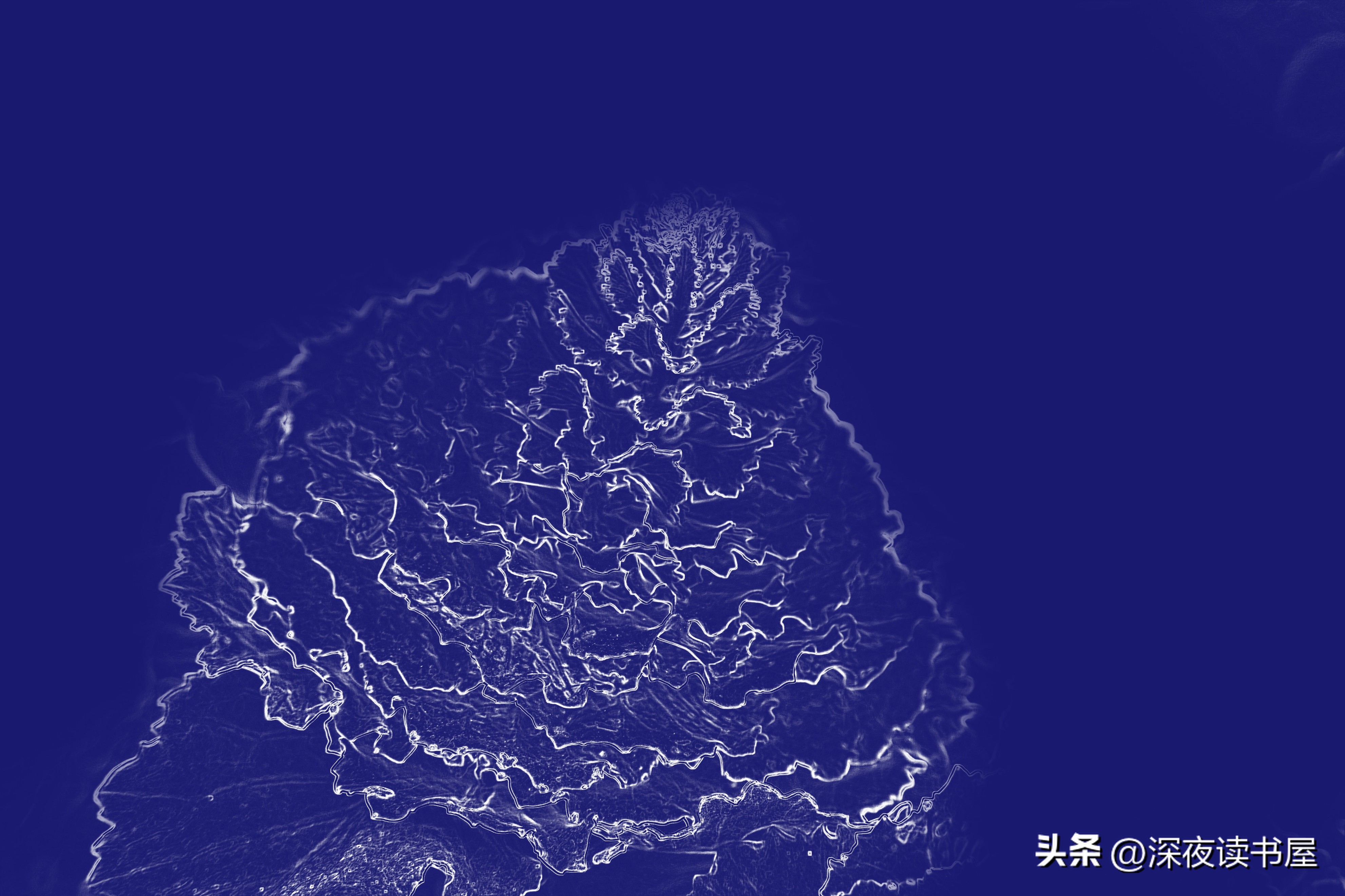 二十来岁学什么技术比较好呢,二十岁男孩学什么有前景