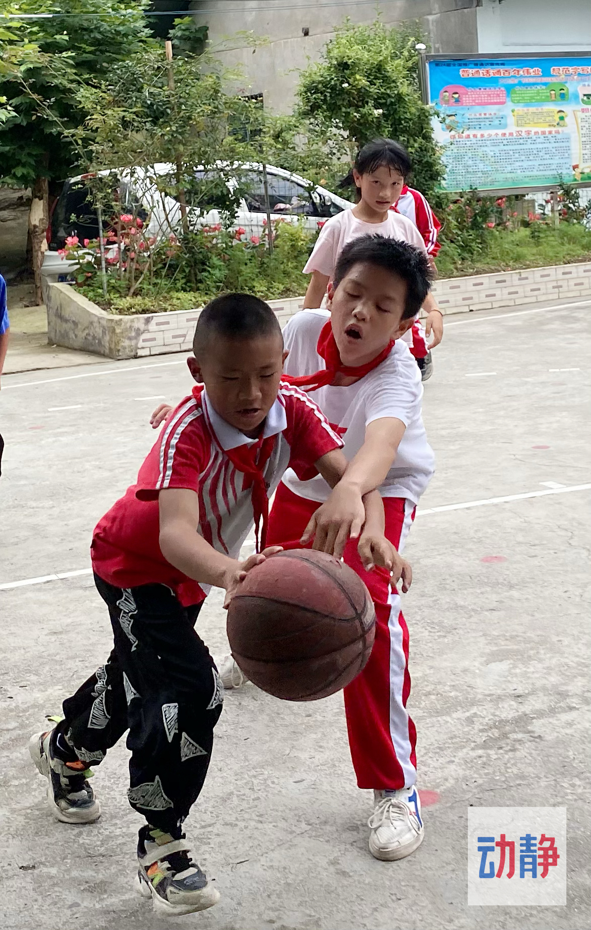 快看！都匀这所小学里有一群“灌篮高手”……