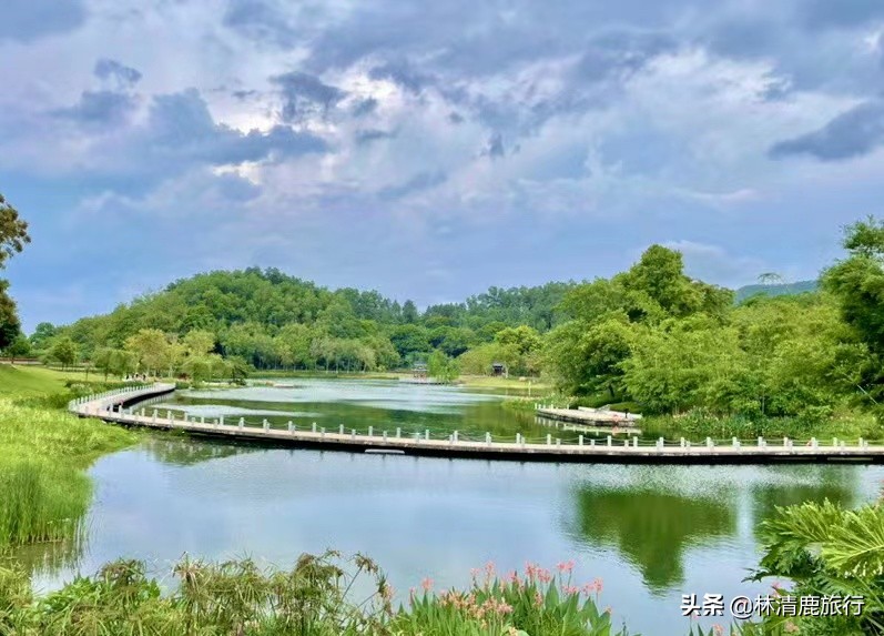 国内夏季避暑的城市,夏季避暑城市都有哪