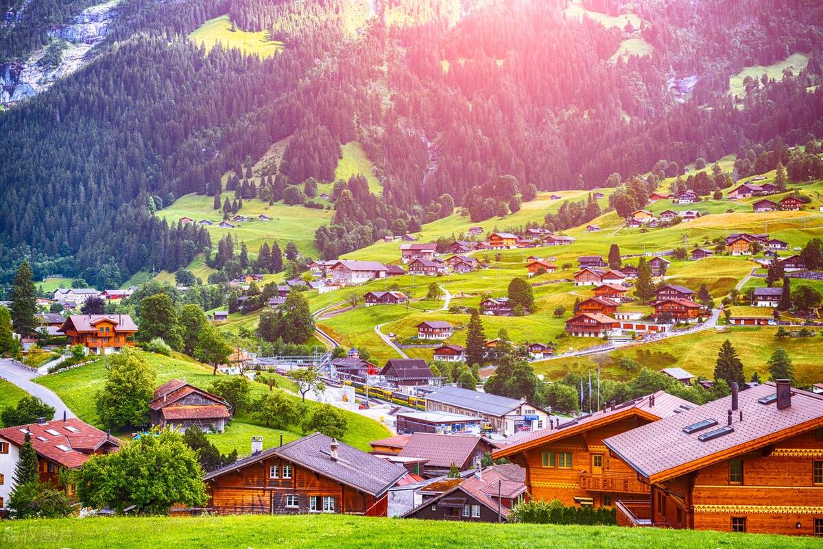 侯老师讲解当下市场行情,坚持做好市场行情分析